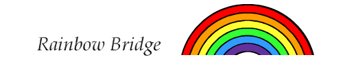 rainbow rainbow